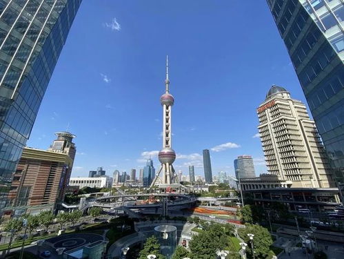 上?？偛拷?jīng)濟(jì)又添 新鮮血液